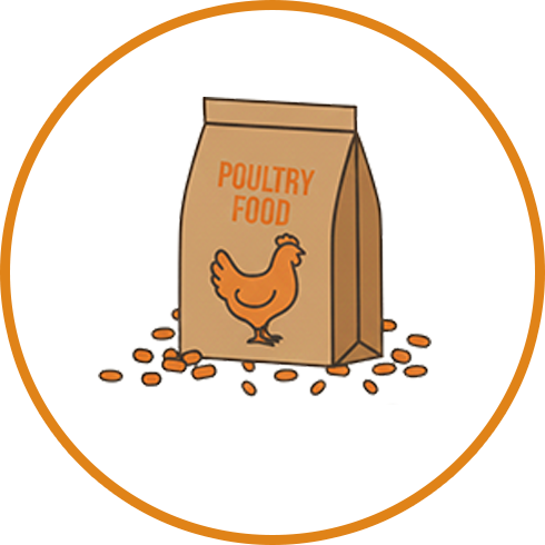 Poultry Food